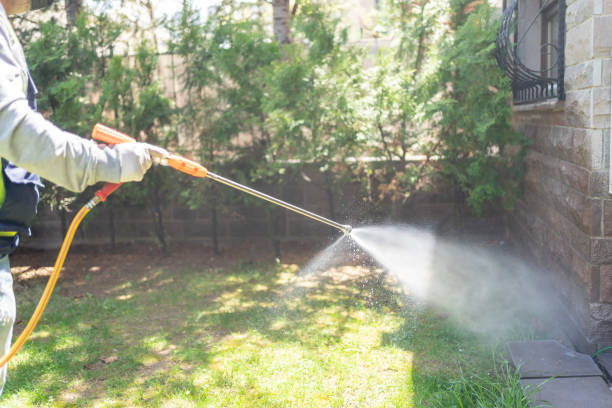 Best Cockroach Control Services  in Rainier, WA