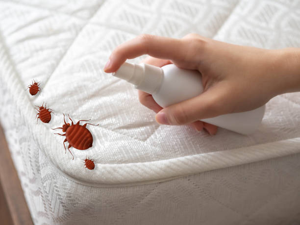 Best Pest Control Near Me in Rainier, WA