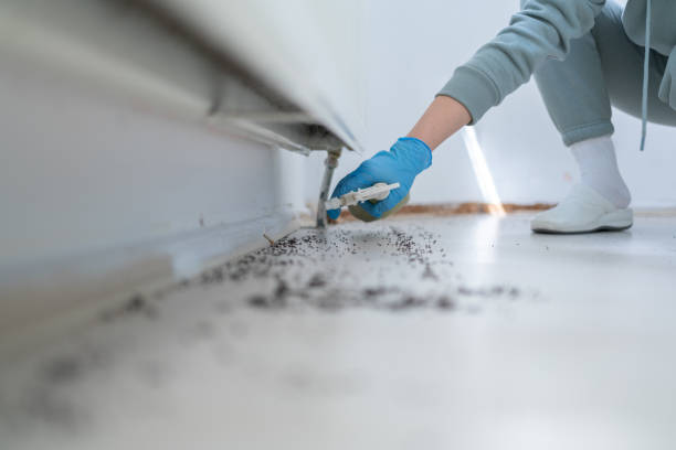 Pest Prevention Services in Rainier, WA